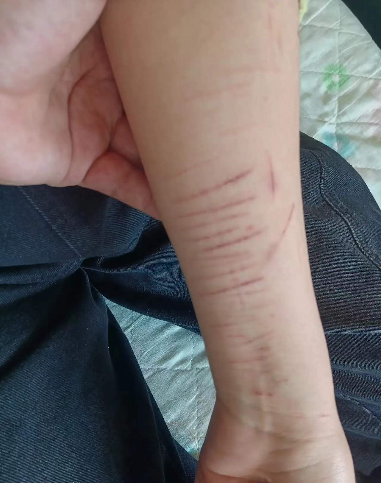 甘肃12岁女孩被强奸，家属上诉，结果将如何？