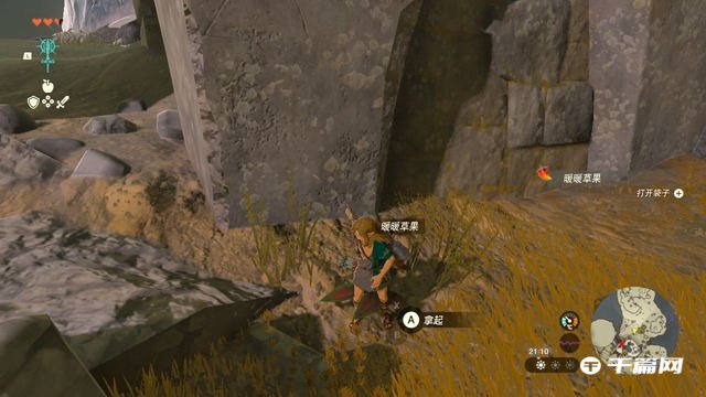 《塞尔达传说王国之泪》暖暖草果怎么获得