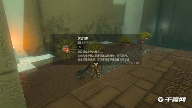 《塞尔达传说王国之泪》火焰果在哪里