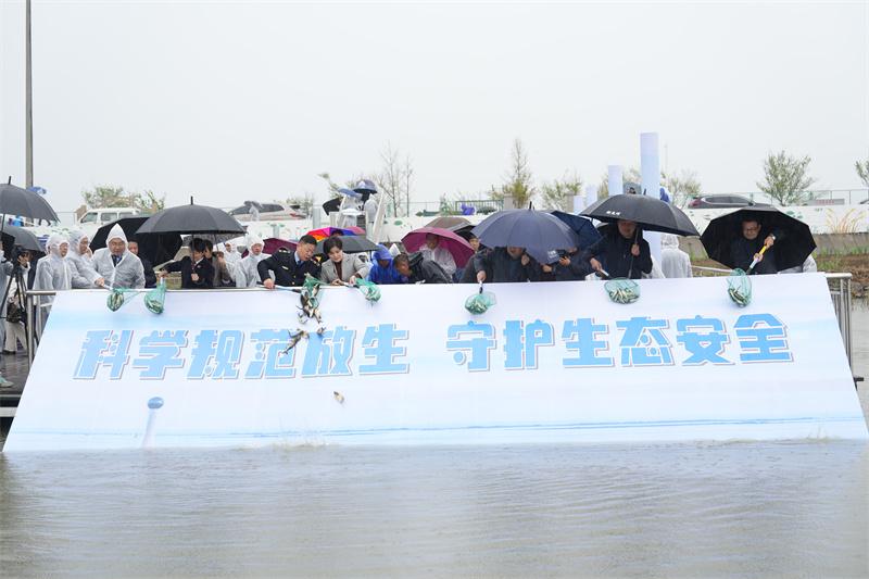 “代放生”业务火爆，有商户称 9 年放生超百万斤