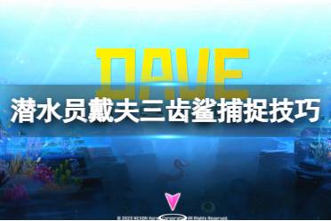 《潜水员戴夫》攻略——三齿鲨怎么捉