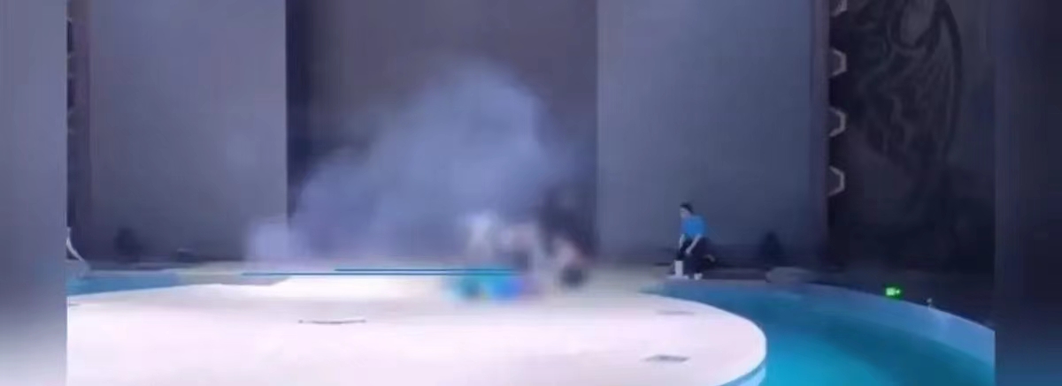 哈尔滨杂技演员坠落，后续如何？