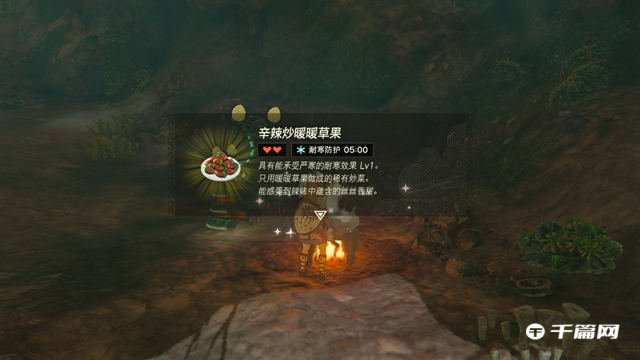 《塞尔达传说王国之泪》暖暖草果怎么获得