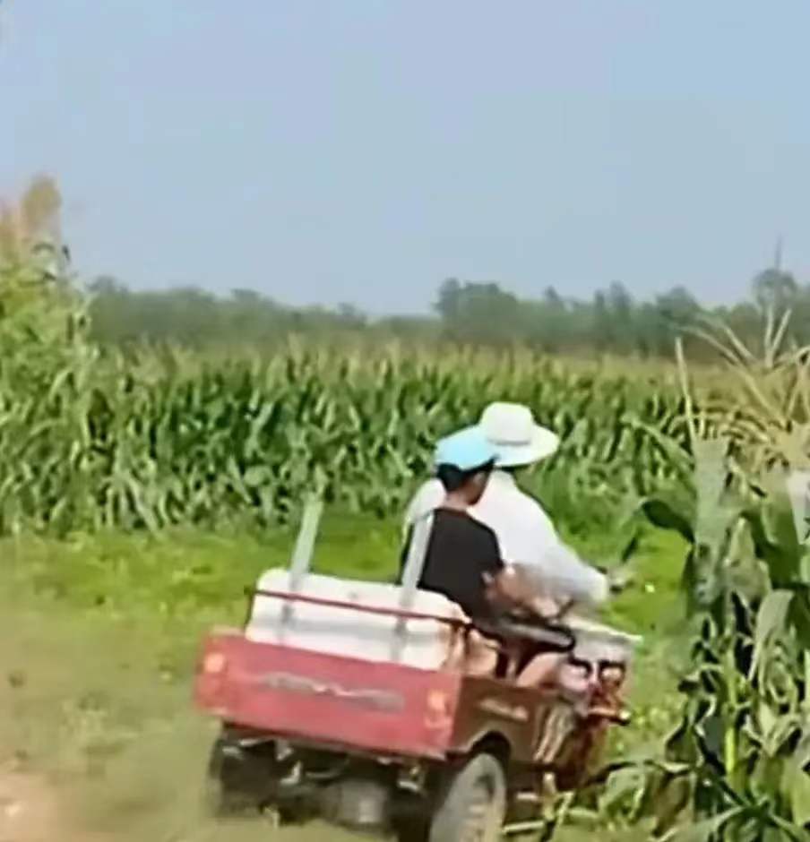 安徽爷孙两人一起失踪？真相到底是什么