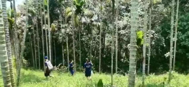 海南一岁半女婴无故失踪！