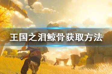 《塞尔达传说王国之泪》攻略——鲸骨获取方法
