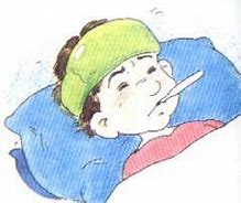 老人高烧 40 ℃，罪魁祸首是两只鹦鹉