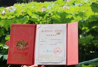 苏科大凌晨 4 点半发待录取通知“要求半小时内确认”
