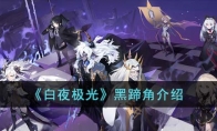 《白夜极光》攻略——黑蹄角解析