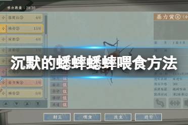 《沉默的蟋蟀》攻略——怎么喂食物