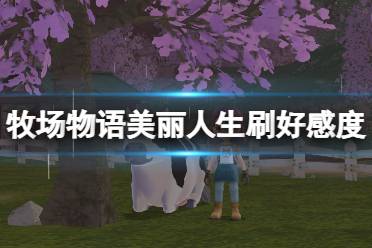《牧场物语Welcome美丽人生》攻略——好感度怎么提升