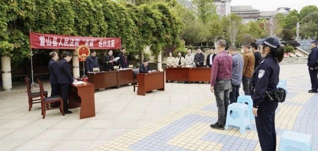 支持！2600岁古楠木王已安排专人看护